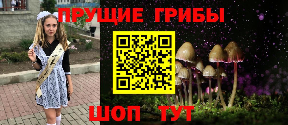 Галлюциногенные грибы GOLDEN TEACHER  Вход с VPN  Миллерово  Галлюциногенные грибы прущие грибы 